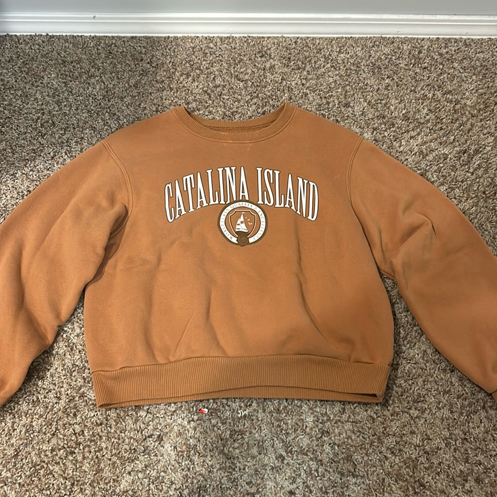 Brown Hollister crewneck
